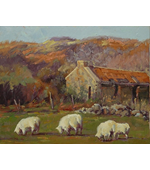 Islay Sheep 16x20