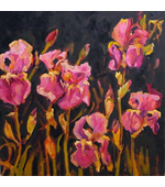 Pink Iris 18x18 